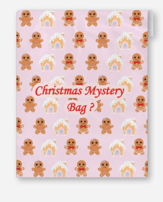 Christmas Mystery Bag
